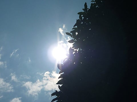 雨上がり