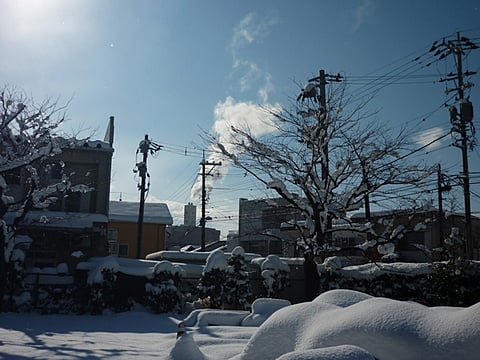 日差しがキラキラ