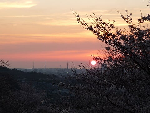 夕日とのコラボ♪