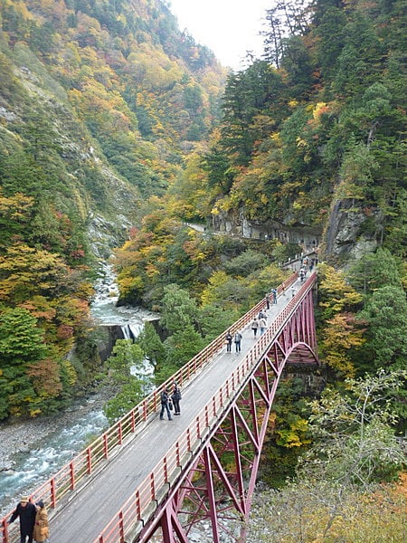 紅葉が素敵です☆